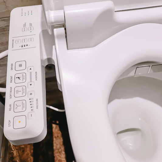 Toilet Bidet Installation